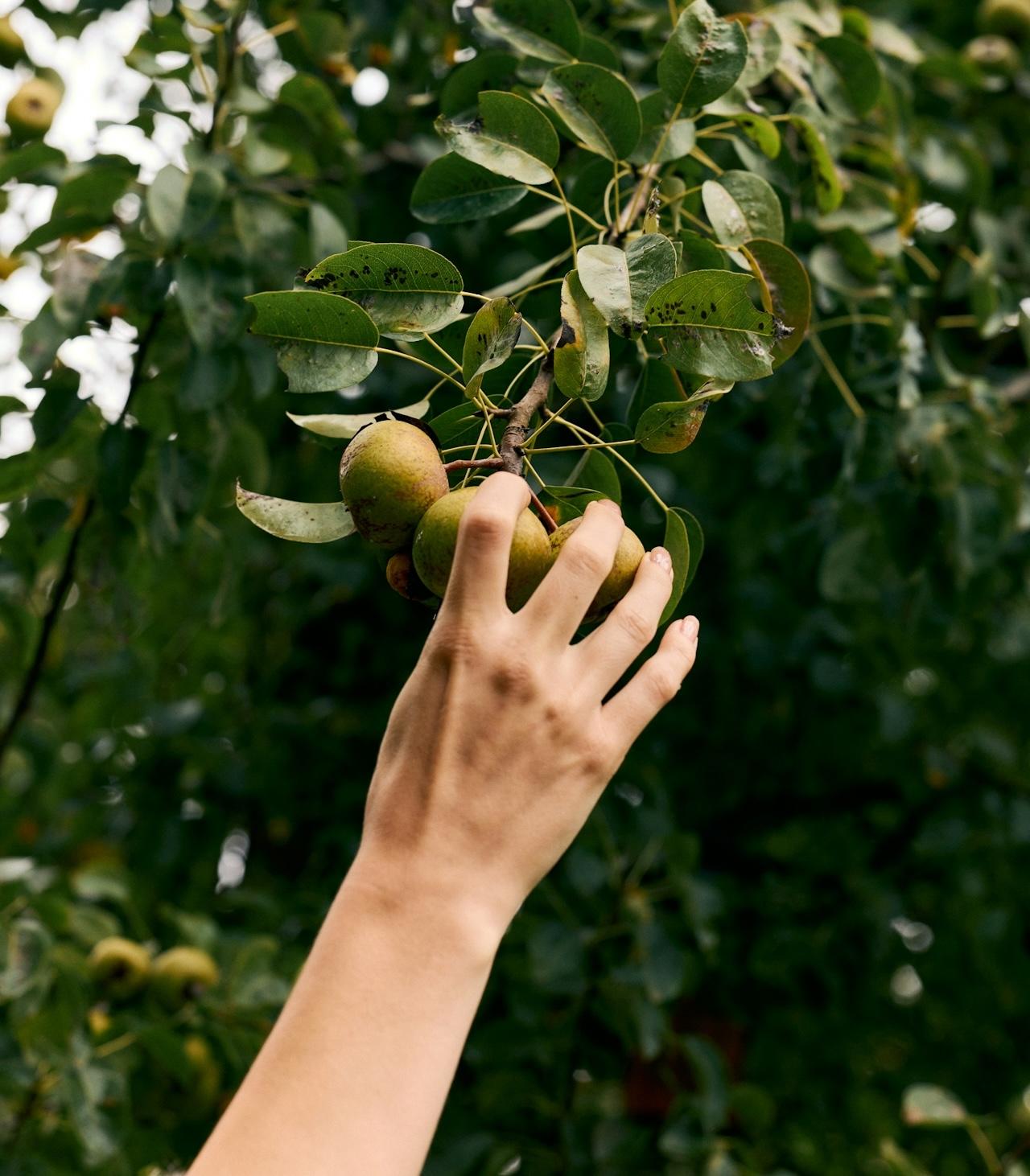 The Framework for Your Future